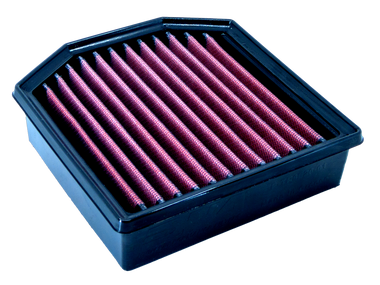 DNA Triumph Tiger 900 Air Filter